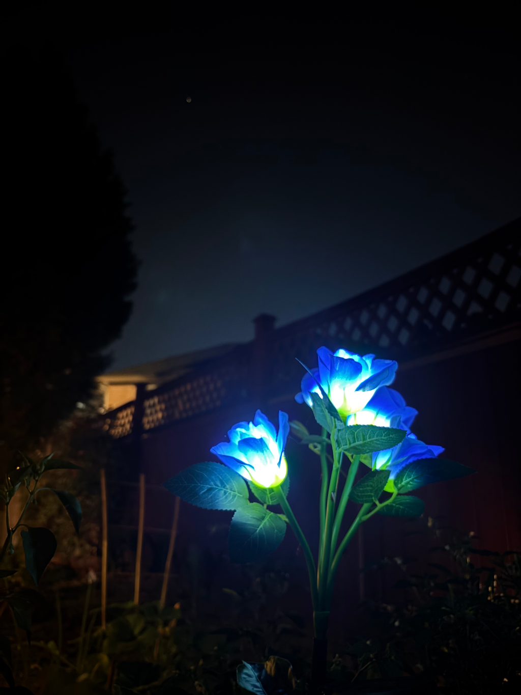 Elysian Blue
