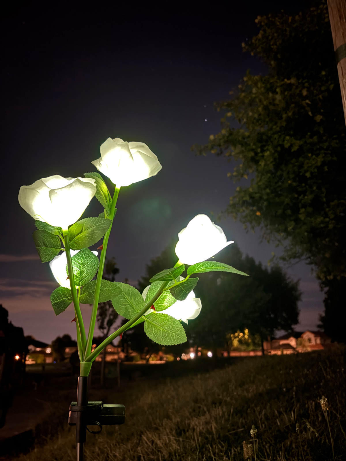 Rimebloom