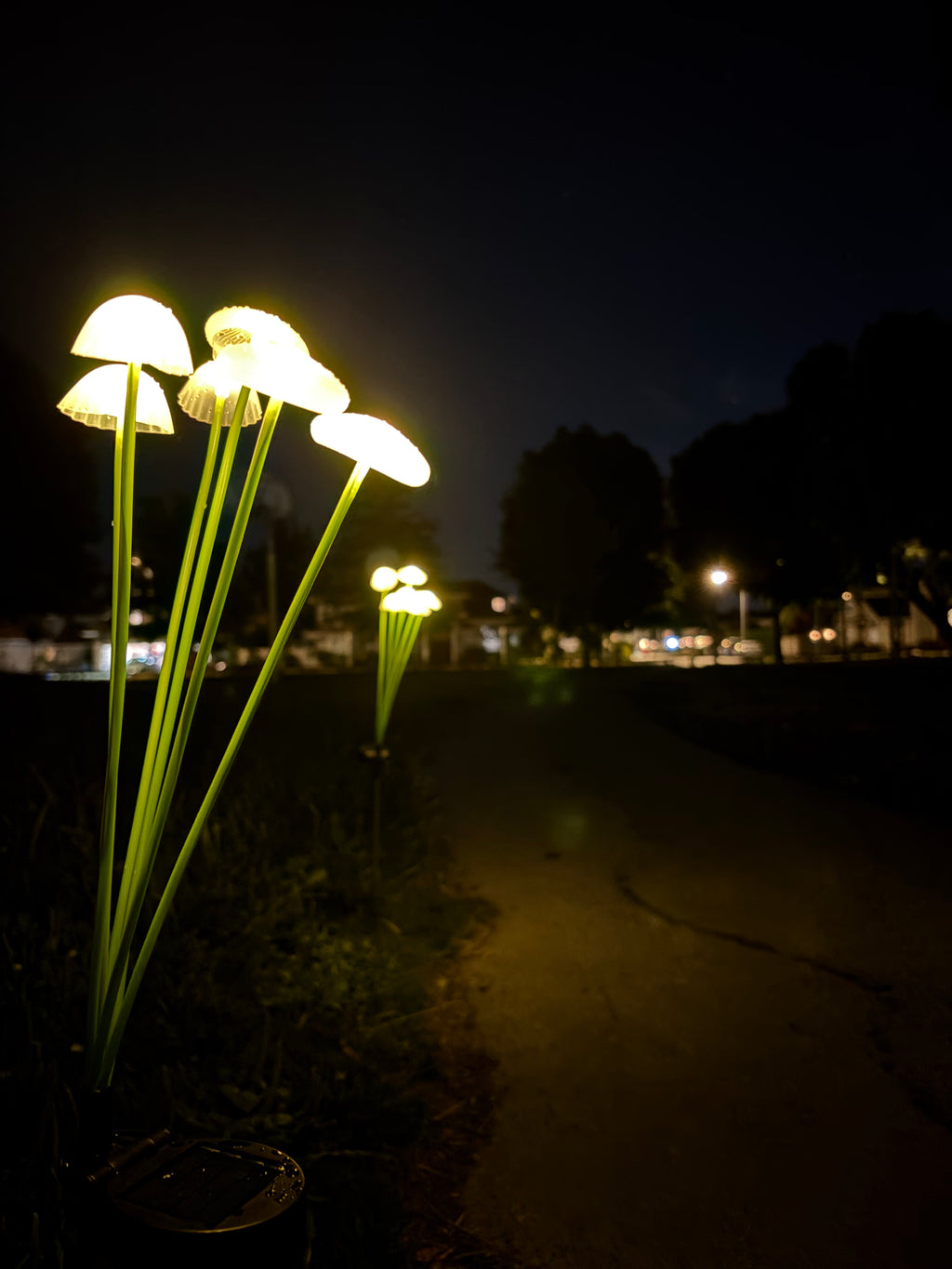 Astral Spore